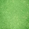 Pigment sypki  Sugarpill Loose eyeshadows - Absinthe